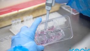 Covid-19 deaths in the US reaches 900,000