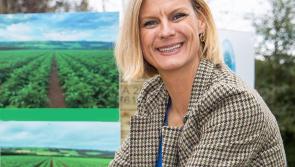 €8 billion retrofit scheme is 'wonderful news for the Midlands'  claims Laois Offaly Minister