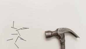 Laois Offaly renters  'absolutely nailed to the wall' claims public representative