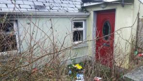 Laois Greens in Portlaoise and Portarlington say their dereliction  plan will be good for community