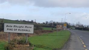 Laois village in the Guinness Book of Records