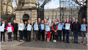 Less than a fifth of assessment of needs for Laois children meet legal timeframe 