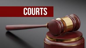 Guilty plea for manslaughter of man who died caravan fire near Laois