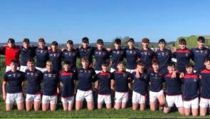 Mountrath CS battle hard  but lose out to Banagher College in North Leinster Junior hurling final