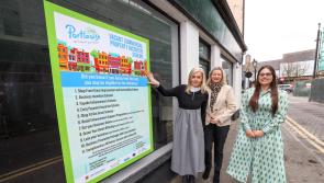 New Laois scheme aims to revive towns by tackling commercial vacancy