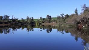 Council asked to fix popular Laois amenity access