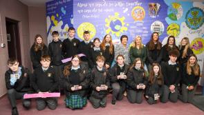 In Pictures: Laois students create their Narnia at Clonaslee College