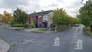 New tree damage in Laois estate on Carlow border