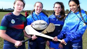 IN PICTURES: Portarlington RFC and Banrion Gaels Camogie club showcase talents to Canadian Rugby club