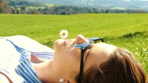 Will the great weather last? Latest Met Éireann sunshine forecast for Ireland for the weekend 
