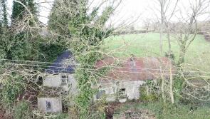 PROPERTY WATCH: Derelict but has road frontage - this €70,000 Laois doer-upper has potential