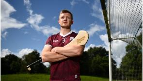 Govt meeting needed on 'crisis' facing hurley-makers due to  ash threat