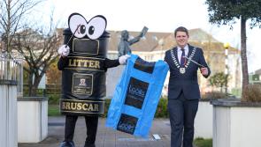Community Alert  group organises its Laois spring clean 
