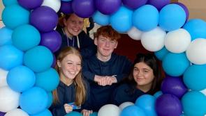 Laois student politicians vote for inclusive school sex education