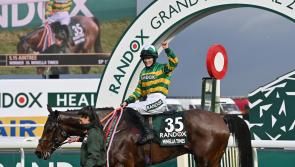RACING: A runner-by-runner guide to the 2022 Aintree Grand National 