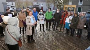 Abbeyleix Tidy Towns helps Laois Federation get ready for national competition