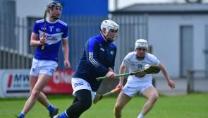 Early second-half goals send Laois Minor hurlers on their way to comfortable victory
