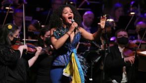 Forest Fest in Laois is hitting all the right notes with fans

