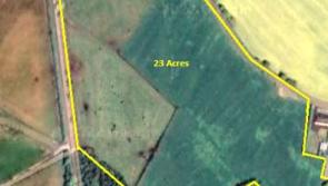 Laois land sells for whopping price at Portlaoise auction