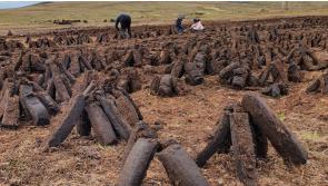 Laois Offaly TD says some turf rights could be limited or removed