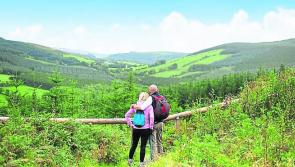 Nearly €400,000 earmarked for Slieve Boom projects by Laois council