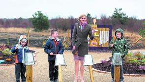 Turf cutting 'scaremongering and misinformation' claims Laois Offaly representative