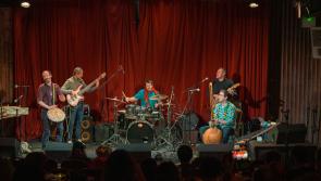Forest Fest  attracts more acts for biggest show of the Laois summer
