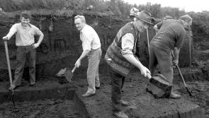 Turf ban pushing thousands of Laois Offaly families into poverty claims TD