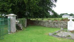 Historic Laois cemetery in need of help from county council