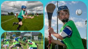 IN PICTURES: Laois Setanta hurling stars of tomorrow strike out in Portlaoise 