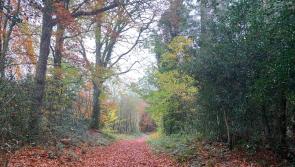 Funding boost for walking trails across Laois