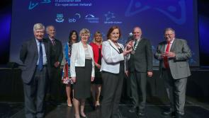'Stunning and spotless' Laois town  wins another big award