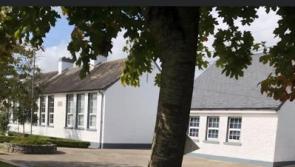 Delighted with work at Laois school