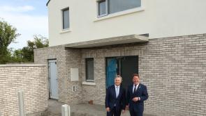 Airbnb dwarf daft.ie rentals in Laois and Offaly Dáil told by Sinn Féin TD