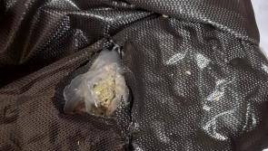 Gardai seized drugs valued at almost €100,000 in Athy 