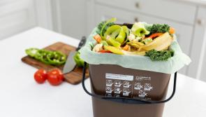 Portlaoise prisons could soon be cutting waste by rotting it for compost