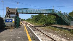 Laois to Limerick rail campaigners claim resistance from State agency