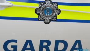 Gardaí appeal for witnesses following fatal midlands crash