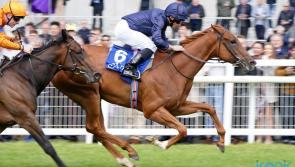 'She has a beautiful mind' - Statuette takes Group Two prize at the Curragh