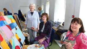 IN PICTURES: Masterclass in beautiful Laois surrounds
