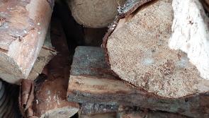 Laois Councillor calls on Coillte to provide cheap firewood 