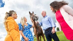 Kilbeggan all set for highlight of racing year