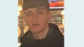 Laois Offaly garda&iacute; see more help in tracing missing teen