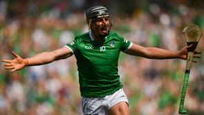 IN PICTURES: Limerick defeat Kilkenny to win All-Ireland hurling final
