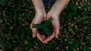 Irish businesses urged to prepare now for new EU corporate sustainability reporting standards  

