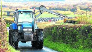 'Growth bursting' in Laois hedgerows as councillors urge more cutting