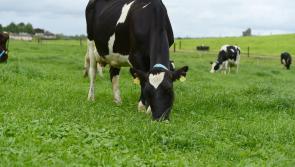 'Rural revolt following this repugnant' emissions deal rails Laois Offaly representative 