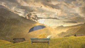 Bank Holiday Weather: Met Éireann forecasting something 'persistent' and 'above average'