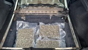 Major drug seizure in counties adjoining Laois as part of massive garda operation 