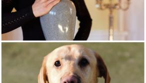 Laois's first Pet Crematorium approved